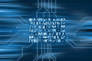 开云官方网站-NBA球队市场营销数字化转型实践探索，nba营销模式