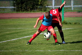 开云网页版-世界泳联冠军赛张雨霏两金入账，张雨霏游泳世界排名  第3张