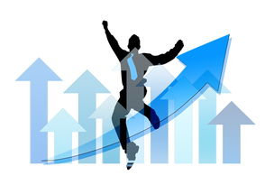 开云kaiyun-中国篮球职业俱乐部财务风险管理实践，篮球俱乐部经营与管理