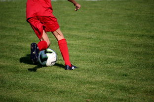 开云官方网站-中国篮球青训教练员能力提升路径及培训体系，全国篮球教练员岗位培训