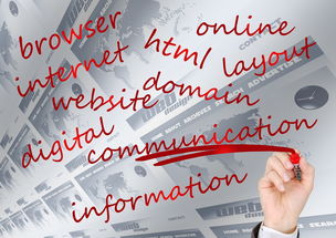 开云kaiyun-校园体育赛事品牌建设路径与传播策略研究，校园体育竞赛体系  第1张