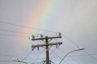 KAIYUNAPP-篮球专项体能训练负荷监控技术应用，篮球的专项体能训练