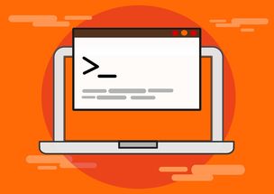 开云入口-篮球专项技能训练规范及实践应用，篮球专项能力