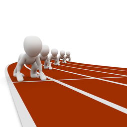 kaiyun开云·官方网站-全运会筹备工作进入冲刺阶段，全运会备战方案