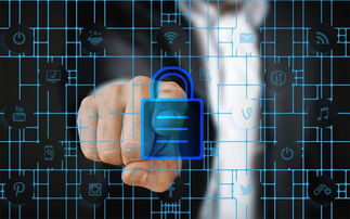 kaiyun体育综合-马术运动进校园课程体系初步建立，马术走进校园合作方案