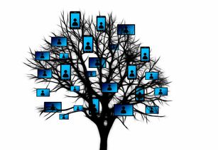 开云·Kaiyun网页版-跨界合作推出足球主题的数字文创周边产品，市场反响火爆，足球数字货币有哪些